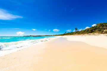 Fototapeta premium Sea, beach, seascape. Okinawa, Japan.