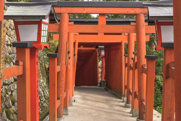 Fototapeta na wymiar 津和野の稲荷神社・赤い鳥居