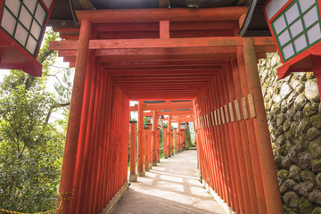 津和野の稲荷神社・赤い鳥居