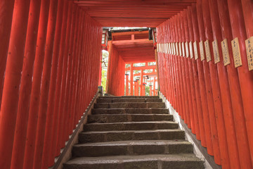 津和野の稲荷神社・赤い鳥居