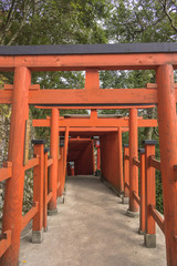 Fototapeta na wymiar 津和野の稲荷神社・赤い鳥居