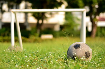 Football in the garden/Football and goalpost in the garden.