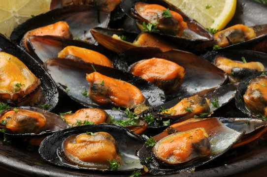 Mytilus galloprovincialis Mediterreense mossel Miesmuscheln aus Galicien Черноморская мидия 地中海貽貝 Peoci ムラサキイガイ Cozza Diepwatermossel Seafood Impepata di cozze صدف سیاه مدیترانه 