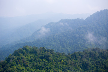 aerial view of plentifully rain forest ,Thailand