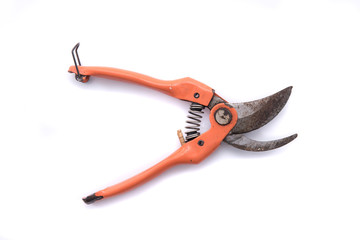 Pruning shears
