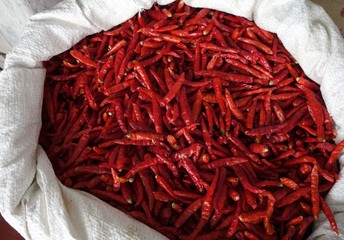 Dried chili in a sack, India