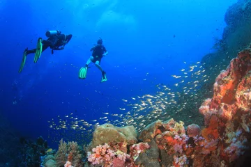 Fotobehang Scuba divers diving on coral reef with fish sea ocean underwater © Richard Carey