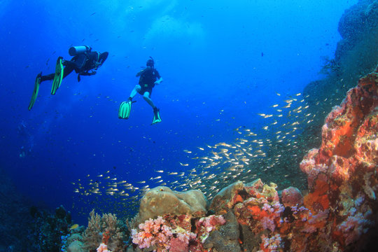 Scuba divers diving on coral reef with fish sea ocean underwater