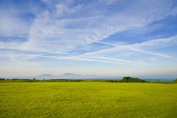 草原の朝/草原の朝の写真です。