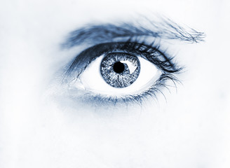 Beautiful insightful look woman's eyes
