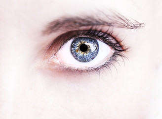 Obraz premium insightful look blue eyes