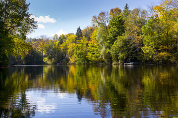 Reflective Still Pond in Autumn