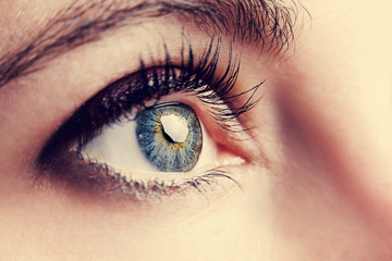 Obraz premium Beautiful insightful look blue woman's eyes