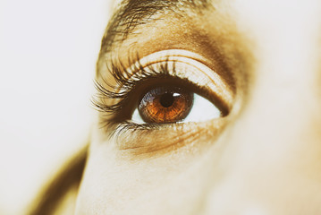 Naklejka premium A beautiful insightful look eye. Close up shot