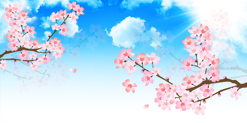 桜　春　空　背景