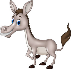 Cartoon funny donkey isolated on white background