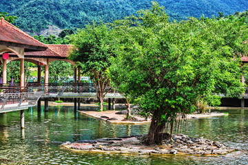 Naklejka premium water bodies on the Crocodile Farm in Dalat.