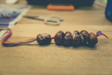 child tinker chestnut conker