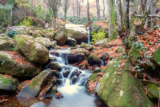 Enjoy Automn