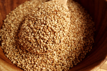 sesame