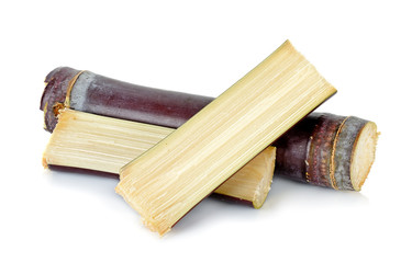 Sugar cane isolated on the white background