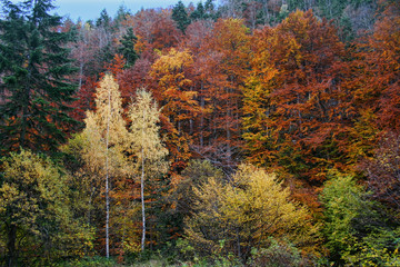 Fall in Bulgaria