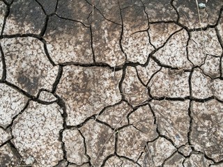 dry cracked soil texture background