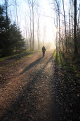 sentiero nel parco del Lura - Lomazzo