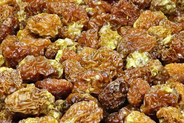 getrocknete Physalis als Hintergrundbild