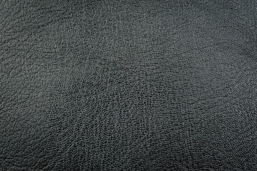 leather texture background / leather texture