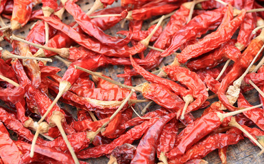 Dry hot chilli peppers