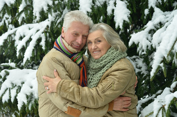 senior couple at winter outdoors