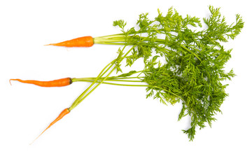 Bunch of baby carrots isolated on white background