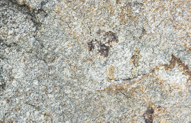 Stone Texture Background