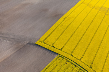 aerial view of harvest fields