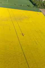 aerial view of harvest fields with tractor