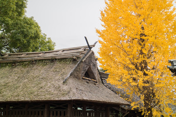 紅葉と古屋根