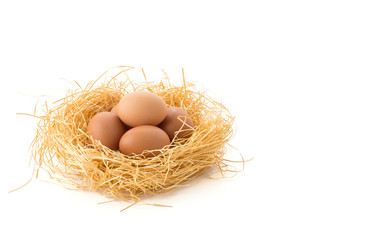 hen egg