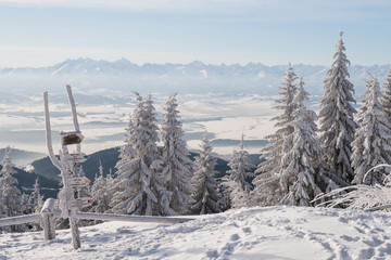 Panorama na Tatry ze Schronisko pod Turbaczem