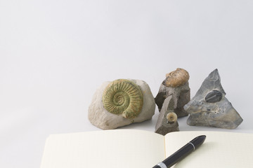 化石とノート
