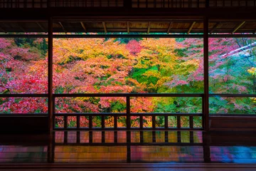 Printed roller blinds Kyoto 京都　瑠璃光院の紅葉