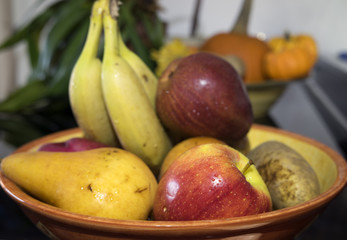 Fruit boal