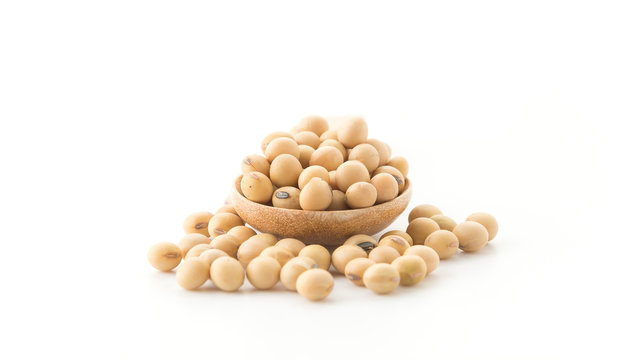 soy beans