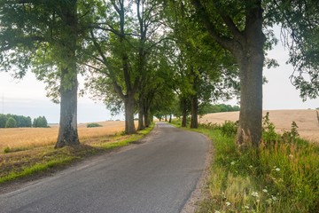 Asphalt road near fields