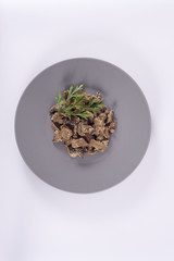 Plato de comida de revuelto de champiñones.
food dish scrambled mushrooms
