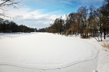 Iced pond in snowy park