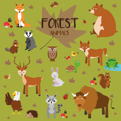 Conjunto de animales del bosque. Zorro, oso, ardilla, ciervo, conejo, tortuga, lobo, castor, buho, pajaros, rana, erizo, tejón, águila, caracol, mapache y bisonte. Ilustraciones de vector. © asantosg