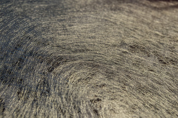 Abstract - close up of silver fiber fabric