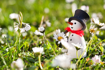 Verwirrte Natur im Dezember © disidie
