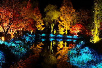 モネの庭ライトアップ